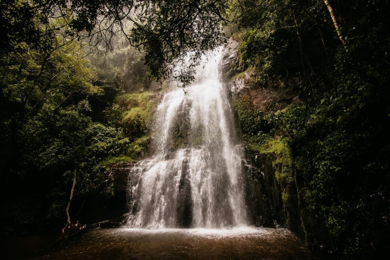 Mount Sheba Rainforest Hotel & Resort Пилгримс-Рест Экстерьер фото